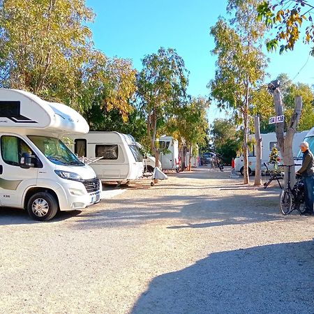 Camping la Naranja Hotel Gandia Bagian luar foto