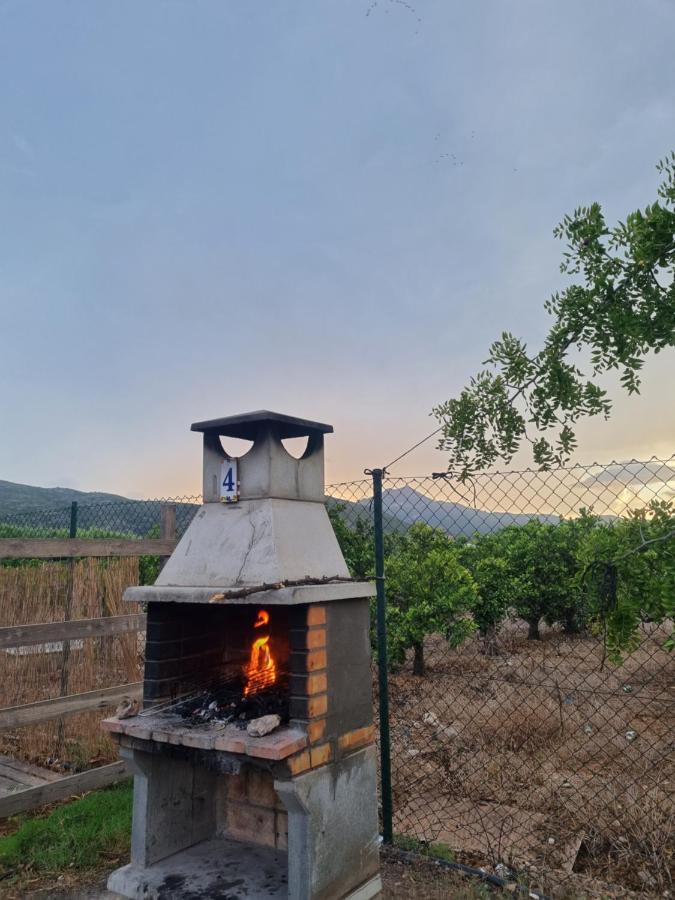 Camping la Naranja Hotel Gandia Bagian luar foto