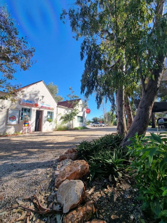 Camping la Naranja Hotel Gandia Bagian luar foto