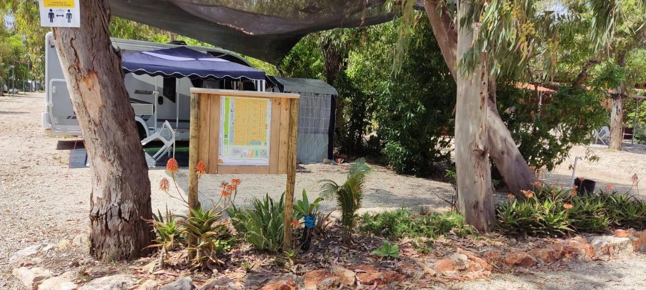 Camping la Naranja Hotel Gandia Bagian luar foto