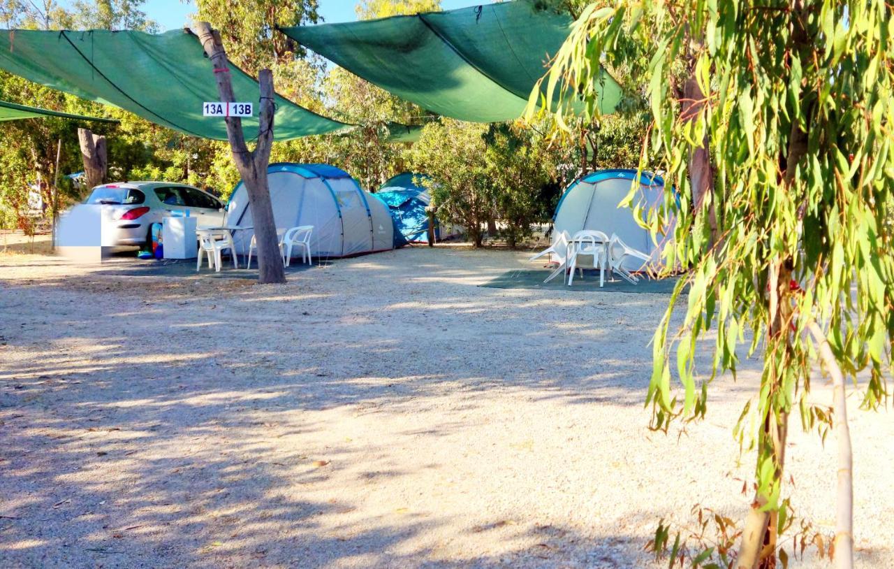 Camping la Naranja Hotel Gandia Bagian luar foto