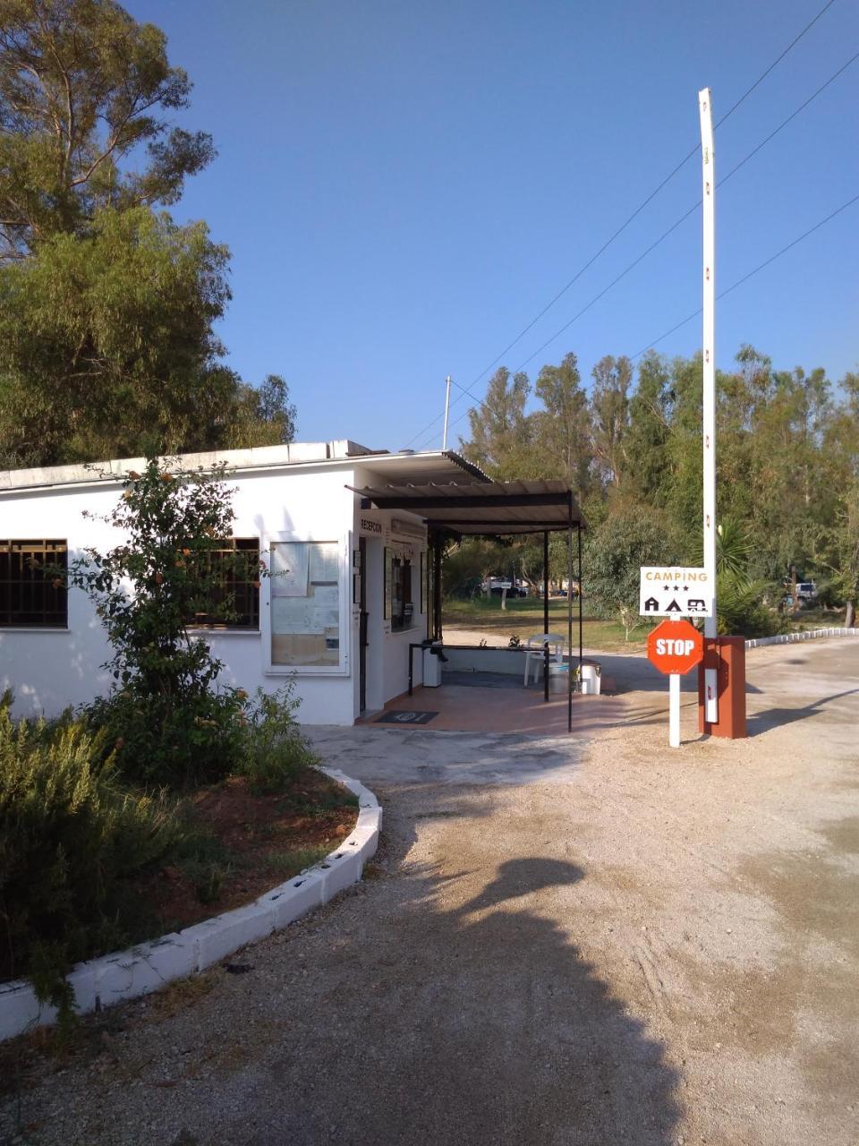 Camping la Naranja Hotel Gandia Bagian luar foto