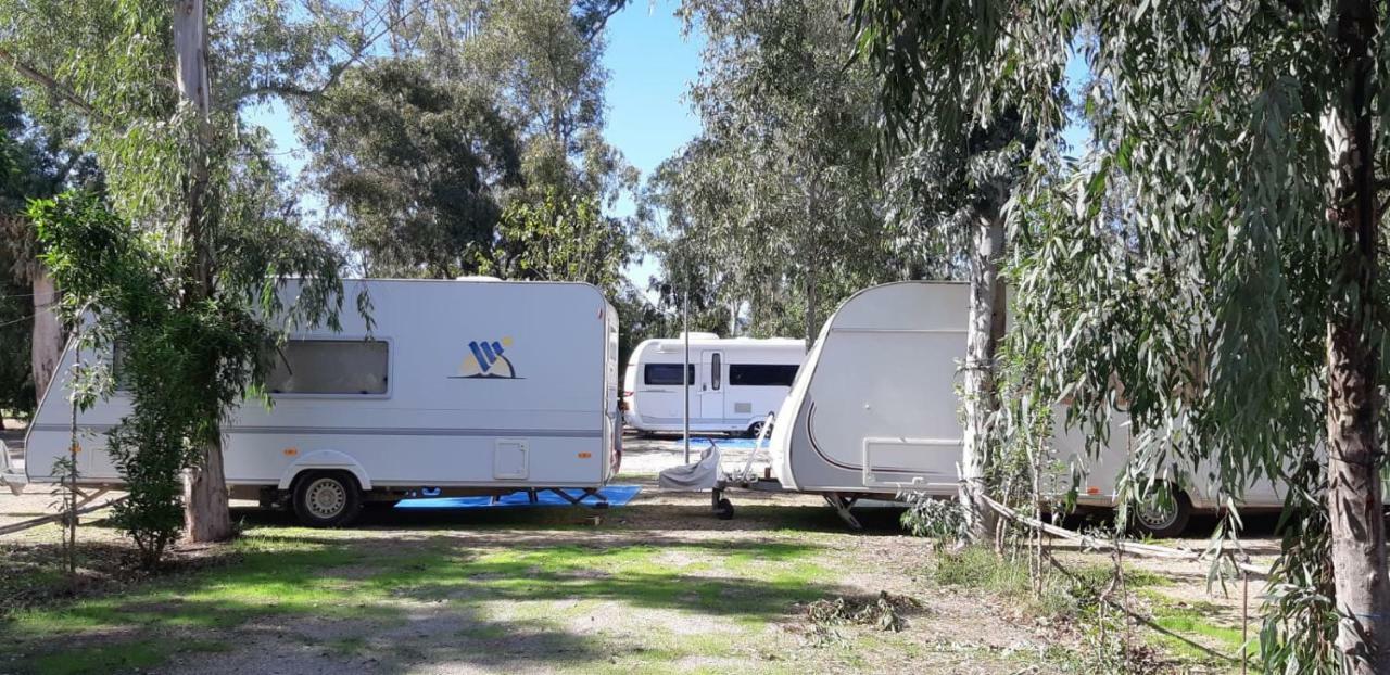 Camping la Naranja Hotel Gandia Bagian luar foto