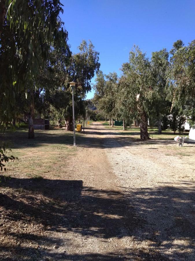 Camping la Naranja Hotel Gandia Bagian luar foto