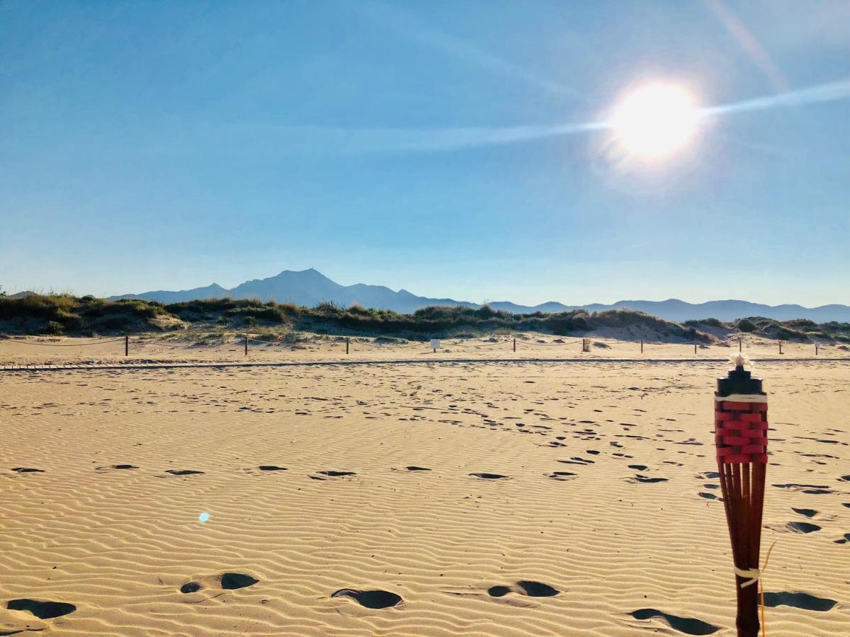 Camping la Naranja Hotel Gandia Bagian luar foto
