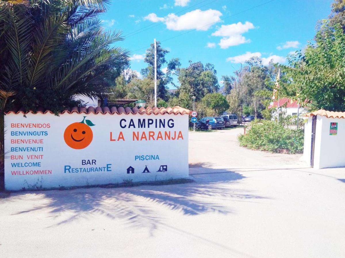 Camping la Naranja Hotel Gandia Bagian luar foto