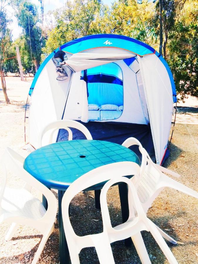 Camping la Naranja Hotel Gandia Bagian luar foto
