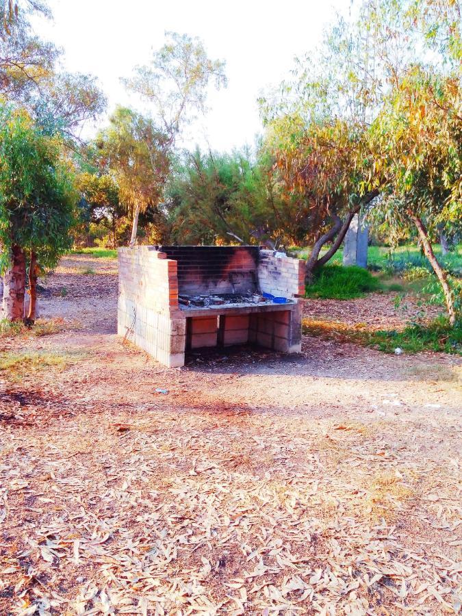Camping la Naranja Hotel Gandia Bagian luar foto